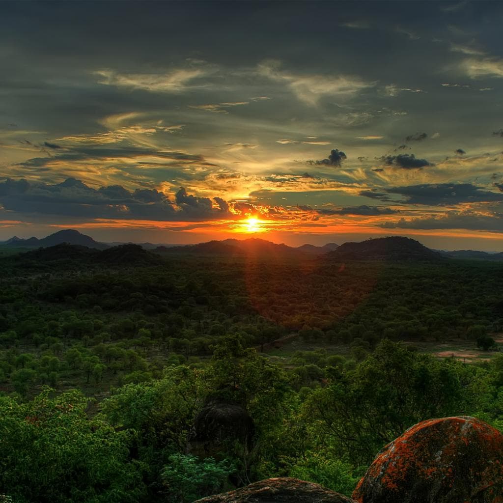 African Safari